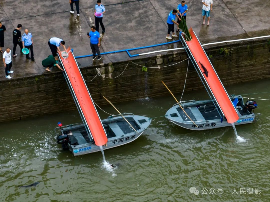 公示｜第33届“萍水相逢 湘东做东”杯人民摄影“金镜头”（2023年度）新闻摄影作品评选揭晓