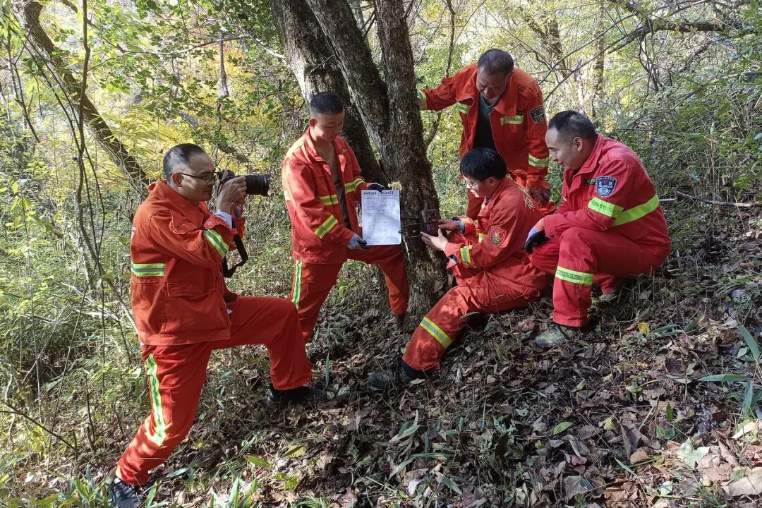 我是记者·我在现场｜工人日报视觉视频部2025记者节特别策划