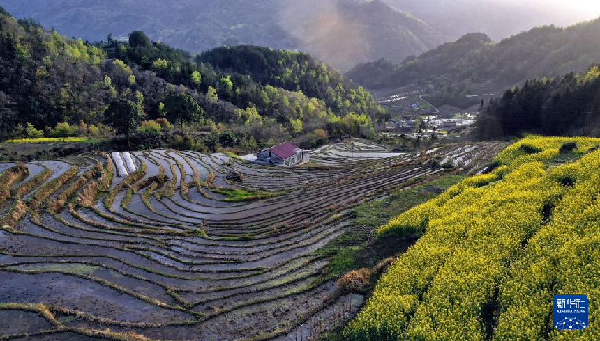 风光摄影：陕西岚皋千亩古梯田探访记