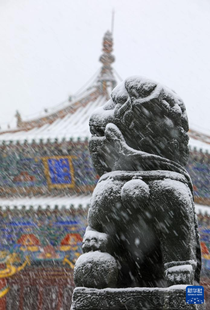 震撼人心！摄影师直击各地初雪飘