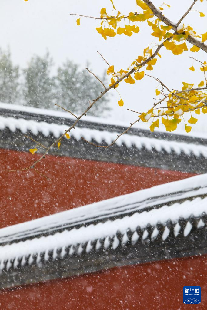 震撼人心！摄影师直击各地初雪飘