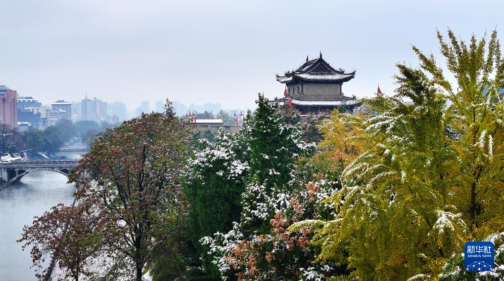 震撼人心！摄影师直击各地初雪飘