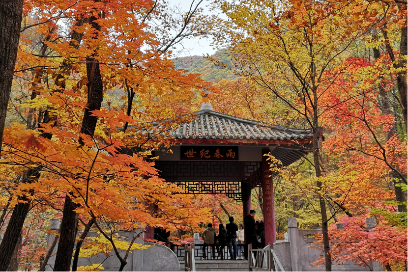 “大美中国 气象万千”主题宣传活动作品征集